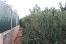 sentier du littoral